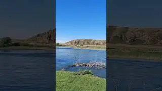 река Или Тамбалы-тас Рыбалка, красивые места близ Алматы #рыбалка #fishing