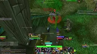 Hunter soloing Bloodlord Mandokir (ZG Raptor boss) - BM, no despawn - WotLK Classic