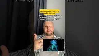 Как работают пранаямы с точки зрения физиологии #shorts