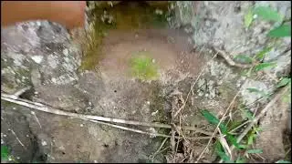Treasure Marker at Bonsai nagkalat sa isang site - (ADVENTURE SERIES)