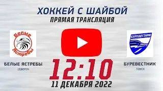 Хоккей с шайбой. Белые Ястребы (Северск) - Буревестник (Томск)