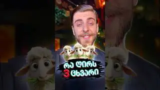 თუ ცხვარი ღირს 30 ლარი… 🐑