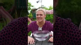 Richtig antworten oder nass werden!😂 
