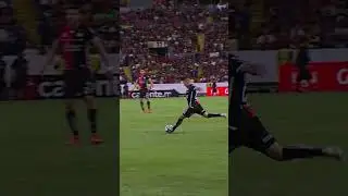 Un GOLAZO certificado de Brian Lozano 🫨 ¿Ganará el Premio Puskas de la FIFA?
