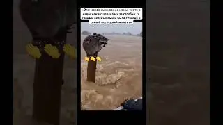 Жду вашИИ коментарИИ🤭👏