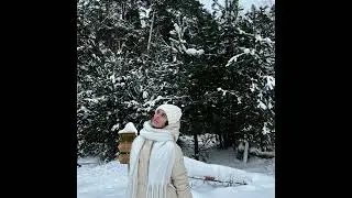 Veselye Rebyata - In the Middle of Winter (1975)