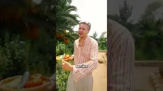 That annoying friend who turns vacation into work