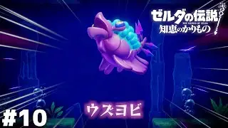 ははーん そのシャインマスカットみたいなのを殴ればいいわけだ【ゼルダの伝説 知恵のかりもの】＃１０