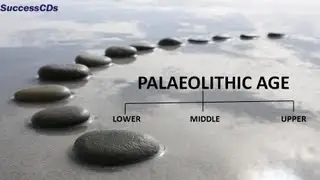 Stone Age (Paleolithic Age) - CBSE NCERT Social Science
