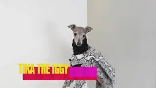 The List Live - 2021 Billboard Music Awards