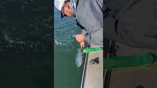Salmon Fishing Coos Bay Oregon August 2024 COHO RELEASE #yakventures #salmonfishing