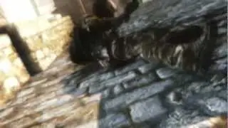 Medal of Honor Warfighter