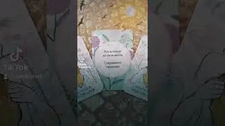 #вераwedomira #советоттаро
