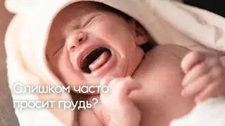 Ребёнок часто просит грудь — это нормально?