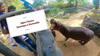 Шри Ланка Национальный зоопарк Коломбо 🐵🐯🦒