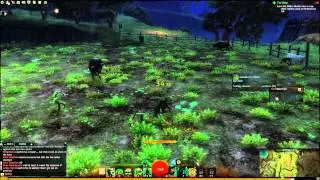 Guild Wars 2: Power leveling by lettuces