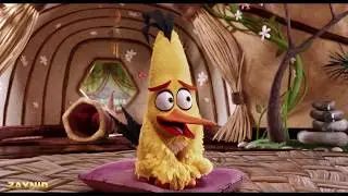 Чак, расскажи свою историю. Может не надо/Angry Birds