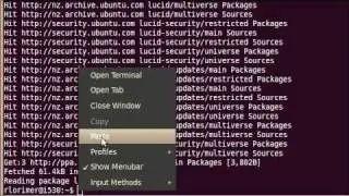 MT4 & MT5 on Linux 04: Wine installation