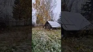 Ну что ж, с первым снегом, друзья!❄️💨 
