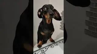 Куда поедете отдыхать?🤣