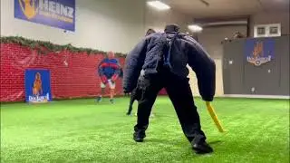 Protection Dog saves owner from 2 Attackers!