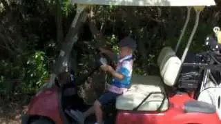 luke driving a buggy into a tree