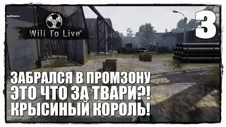 Will To Live Online - Выживание #3 КРЫСИНЫЙ КОРОЛЬ!
