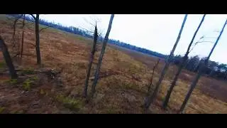 Reelsteady + GoPro Hero 6 sample