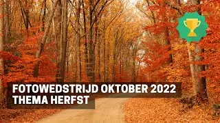 FOTOWEDSTRIJD - Oktober 2022 Thema Herfst