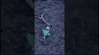 СВО Новые растяжки🧐🧐🧐 