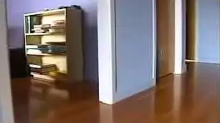 Кошачий дрифт 240)