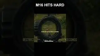 M16 in PUBG
