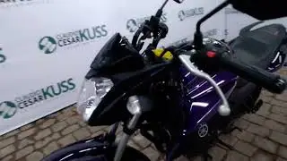 174093 - YAMAHA / YS 150 FAZER SED 24/25