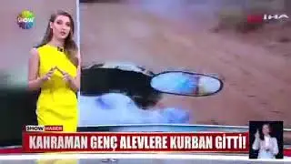 ALEVLERİN ARASINDAKİ ŞAHİN