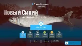 Русская Рыбалка 4 ► Russian Fishing 4 ► Синяя Селедка во время стрима!