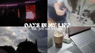 Vlog #4