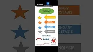 Hemostasis