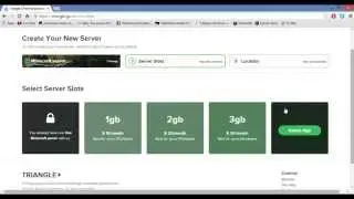 Minecraft Free Easy Server Hosting | Triangle.gs