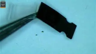 iPhone 6 не заряжается, не включается