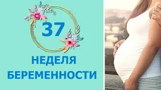 37 Неделя Беременности. Развитие плода и ощущения мамы