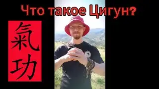 Вся Правда О Цигун.