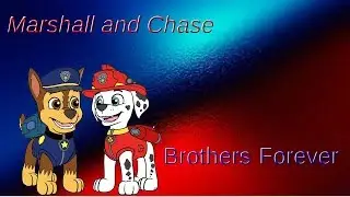 Brothers Marshall and Chase