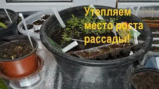 Seedling. How can warm place seedling growth ?!