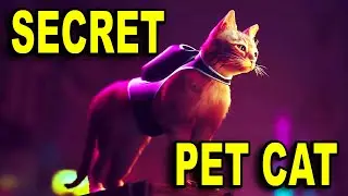 Cyberpunk 2077 - How to Get a SECRET PET CAT!