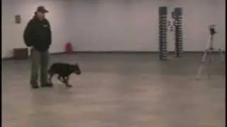 Caesar's Protection Training 04-07