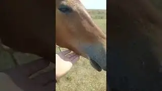 Малой растёт