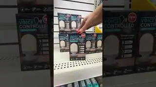 DOLLAR TREE sells THIS in 2024?! 😱 (I had no idea!)