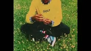 Tyler the creator- potato salad (remix)