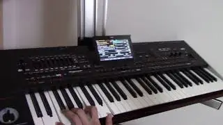 🔴 Semsa Suljakovic-Hajdemo sreco i Korg pa4x Uzivo Casio boje