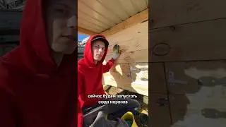 С Новосельем наших Бомжей-уток 🤣🦆